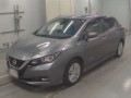 2019 Nissan Leaf
