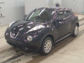 2013 Nissan JUKE