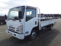 2021 Isuzu Elf Truck