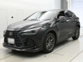 2025 Lexus NX