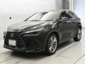 2022 Lexus NX