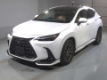 2023 Lexus NX
