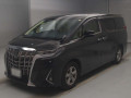 2019 Toyota Alphard