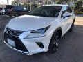 2020 Lexus NX