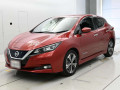 2019 Nissan Leaf