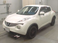 2011 Nissan JUKE