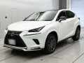 2021 Lexus NX