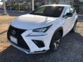 2020 Lexus NX