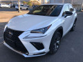 2019 Lexus NX