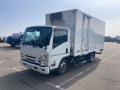 2020 Isuzu Elf Truck