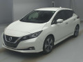 2019 Nissan Leaf