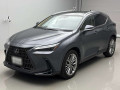 2025 Lexus NX
