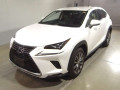 2021 Lexus NX