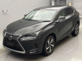 2019 Lexus NX