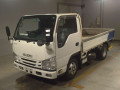 2019 Isuzu Elf Truck
