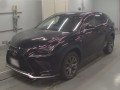 2019 Lexus NX