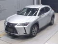 2021 Lexus UX