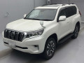 2022 Toyota Land Cruiser Prado