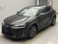 2020 Lexus UX