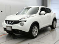 2013 Nissan JUKE