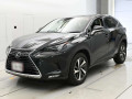 2020 Lexus NX
