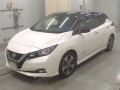 2019 Nissan Leaf