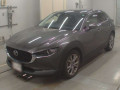 2019 Mazda CX-30