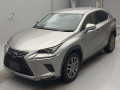 2019 Lexus NX