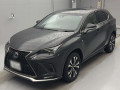 2018 Lexus NX