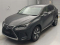 2019 Lexus NX