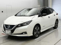 2019 Nissan Leaf
