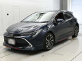 2019 Toyota Corolla Sports