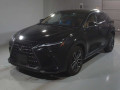 2023 Lexus NX
