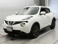 2015 Nissan JUKE