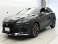 2025 Lexus RX