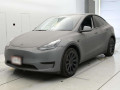 2022 Others MODEL Y