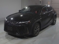 2019 Lexus UX