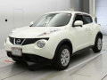 2010 Nissan JUKE