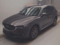 2019 Mazda CX-8