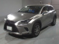 2019 Lexus NX
