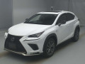 2019 Lexus NX