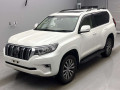 2019 Toyota Land Cruiser Prado