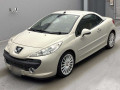 2008 Peugeot 207