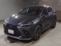 2022 Lexus NX