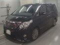 2013 Toyota Alphard