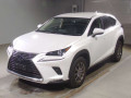 2021 Lexus NX