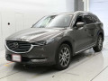2019 Mazda CX-8