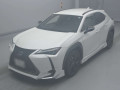 2021 Lexus UX