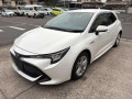 2019 Toyota Corolla Sports