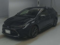 2019 Toyota Corolla Touring Wagon